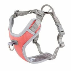 Ruffdog Sports Hurtta Venture No-Pull Harness 40% OFF 8 Ruffdog Sports Hurtta Venture No-Pull Harness 40% OFF -Collections Sales Shop 339b273fb1aa5577a05928e476e471c9 600x 86438959 1c3b 42d3 b7b1 f637b41dad0b 1024x1024