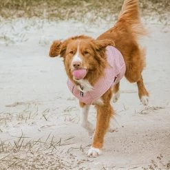 Ruffdog Sports Hurtta Cooling Wrap 60% OFF 12 Ruffdog Sports Hurtta Cooling Wrap 60% OFF -Collections Sales Shop 4419a0 49cf4ceb1f984535abe2c377118dd2c7 mv2 1024x1024