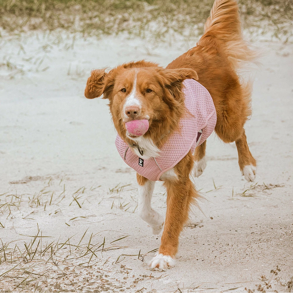 Ruffdog Sports Hurtta Cooling Wrap 60% OFF 4 Ruffdog Sports Hurtta Cooling Wrap 60% OFF - Image 4