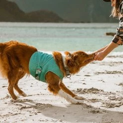 Ruffdog Sports Hurtta Cooling Wrap 60% OFF 14 Ruffdog Sports Hurtta Cooling Wrap 60% OFF -Collections Sales Shop 4419a0 a3b39366f91b40d0b2e2c9e5c4f2ba9e mv2 1024x1024