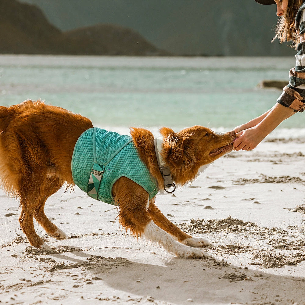 Ruffdog Sports Hurtta Cooling Wrap 60% OFF 6 Ruffdog Sports Hurtta Cooling Wrap 60% OFF - Image 6