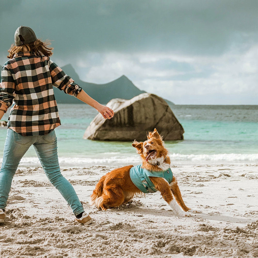 Ruffdog Sports Hurtta Cooling Wrap 60% OFF 7 Ruffdog Sports Hurtta Cooling Wrap 60% OFF - Image 7