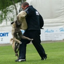 Ruffdog Sports Schweikert Protection Pants AERO * PLEASE CONTACT FOR PRICING* -Collections Sales Shop 5517 blau2 1024x1024