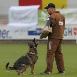 Ruffdog Sports Schweikert Protection Pants AERO * PLEASE CONTACT FOR PRICING* -Collections Sales Shop 5517 braun 1024x1024