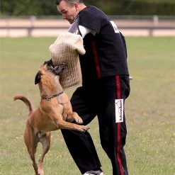 Ruffdog Sports Schweikert Protection Pants AERO * PLEASE CONTACT FOR PRICING* -Collections Sales Shop 55172 1024x1024