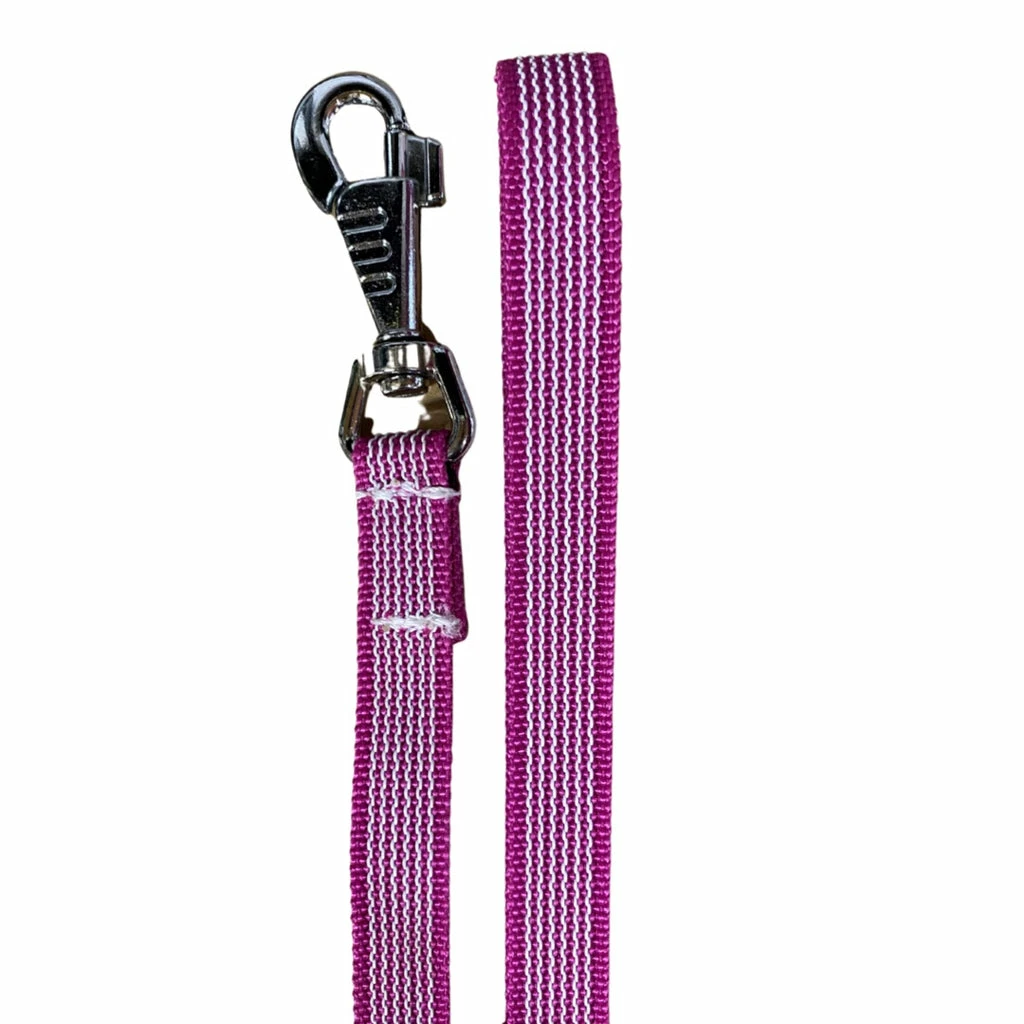 Ruffdog Sports Raddog Soft Grip Leash 150cm 8 Ruffdog Sports Raddog Soft Grip Leash 150cm - Image 8