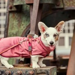 Ruffdog Sports Hurtta Razzle-Dazzle Midlayer Reversible Coat 30% Off -Collections Sales Shop HurttaRazzleDazzleMidlayer Beetroot AW21 8 600x 25d5f57b 160a 45fc 9b96 4be7031c4d9e 1024x1024