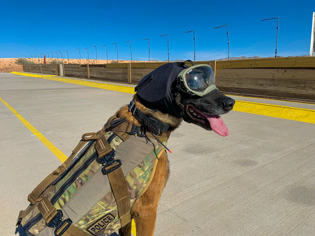 Ruffdog Sports Rex Specs Ear Pro For Dogs 4 Ruffdog Sports Rex Specs Ear Pro For Dogs - Image 4