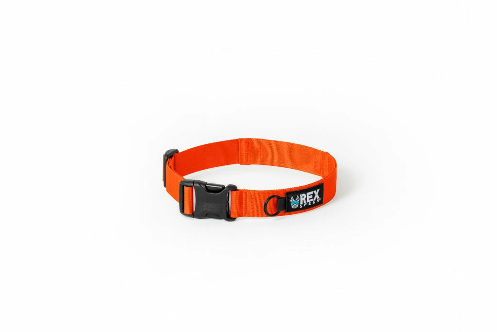Ruffdog Sports Rex Specs Trailhead Collar 4 Ruffdog Sports Rex Specs Trailhead Collar - Image 4