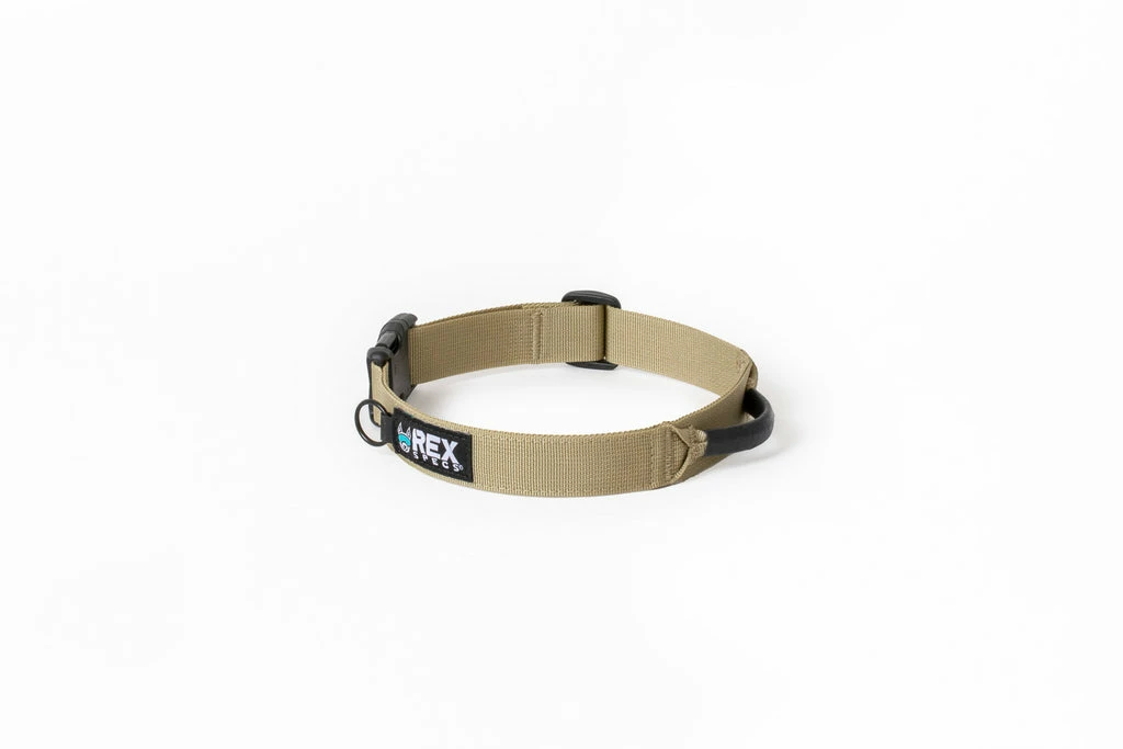 Ruffdog Sports Rex Specs Trailhead Collar 6 Ruffdog Sports Rex Specs Trailhead Collar - Image 6