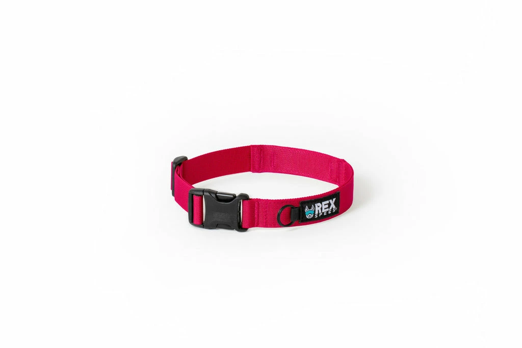 Ruffdog Sports Rex Specs Trailhead Collar 7 Ruffdog Sports Rex Specs Trailhead Collar - Image 7