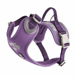 Ruffdog Sports Hurtta Weekend Warrior Harness -Collections Sales Shop hurtta weekend warrior harness currant 9b6385c0 a83f 4cf2 8050 2f61c8d6a8dd 1024x1024