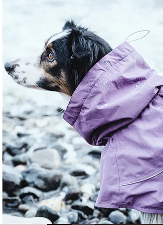 Ruffdog Sports Hurtta Drizzle Coat 40% Off 2 Ruffdog Sports Hurtta Drizzle Coat 40% Off - Image 2