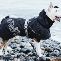 Ruffdog Sports Hurtta Drizzle Coat 40% Off