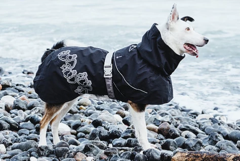 Ruffdog Sports Hurtta Drizzle Coat 40% Off 1 Ruffdog Sports Hurtta Drizzle Coat 40% Off