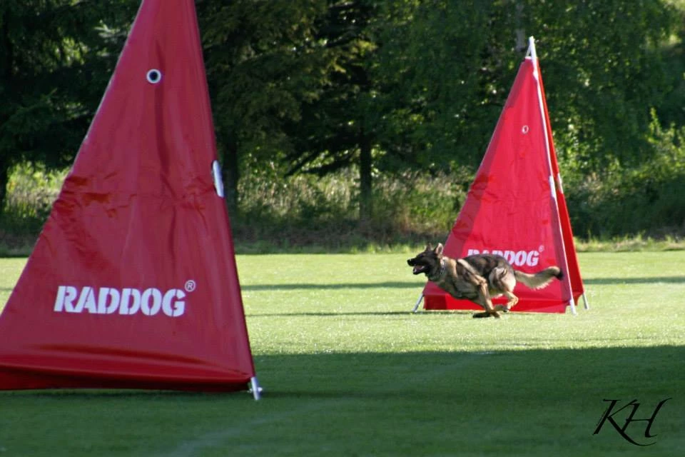 Ruffdog Sports Raddog Large Blind 1 Ruffdog Sports Raddog Large Blind