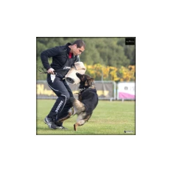 Fast Bundle Raddog Competition Helper Bundle