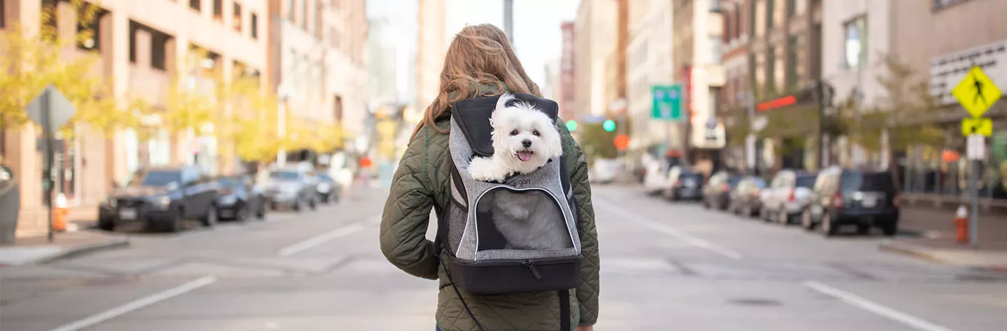 Collections Sales Shop -Collections Sales Shop 2d3030d802b73f521131ed1f976942b4faa06e29